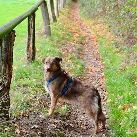 Im Vest Oer-Erkenschwick